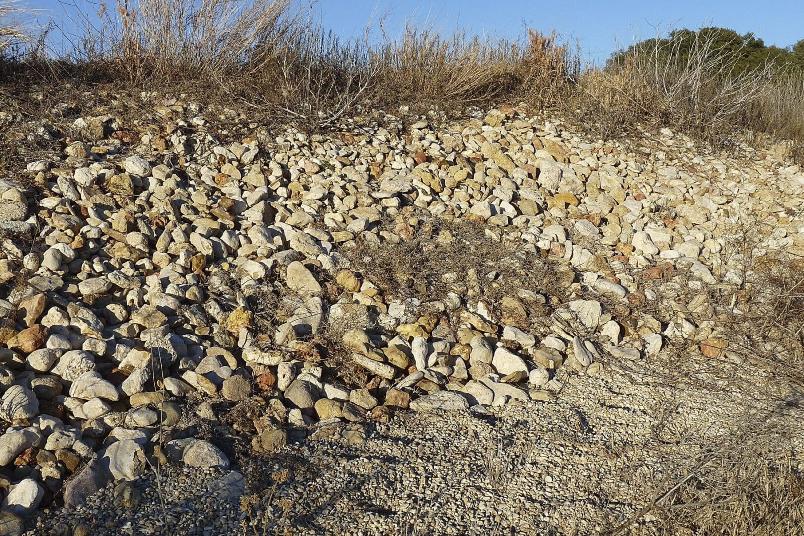 Vollmar Pond & Lake Management