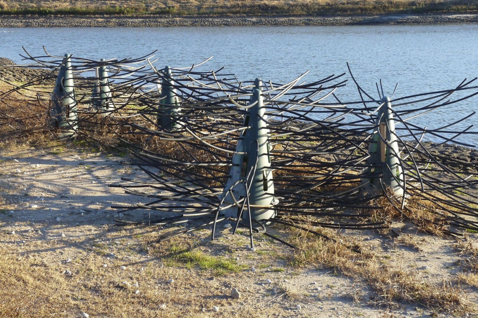 Vollmar Pond & Lake Management